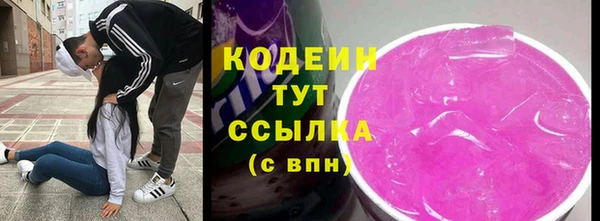прущий лед Гусев
