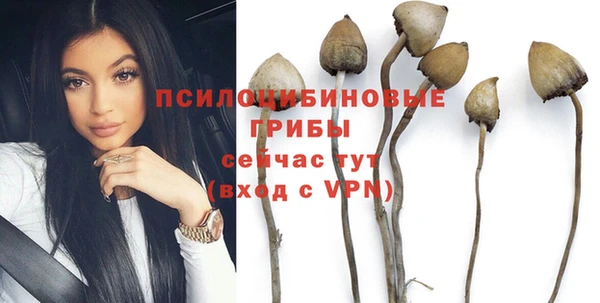 прущий лед Гусев