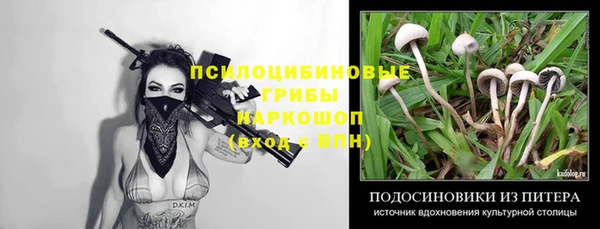 мефедрон Гусиноозёрск