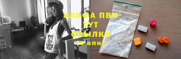 прущий лед Гусев