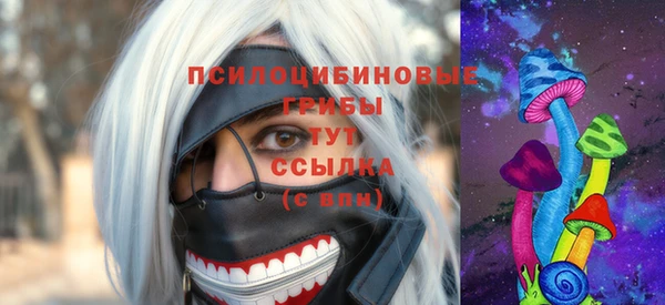jwh Гусь-Хрустальный