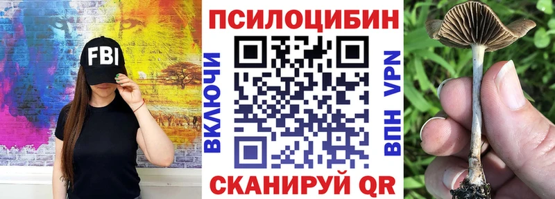 Псилоцибиновые грибы GOLDEN TEACHER Ермолино